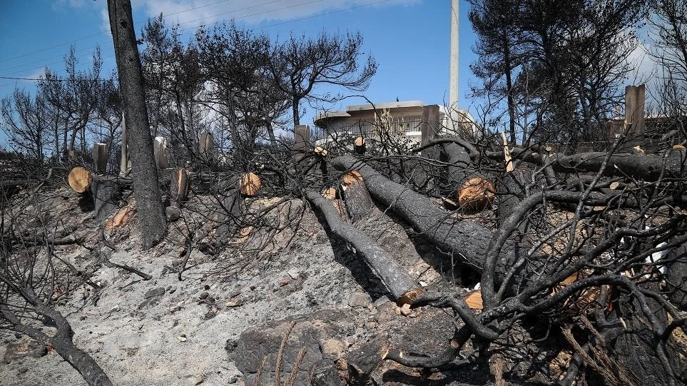 Φωτιά στο Μάτι: Υπέγραψαν αυτοψίες αξιωματικοί της πυροσβεστικής που ήταν εκτός Αττικής;